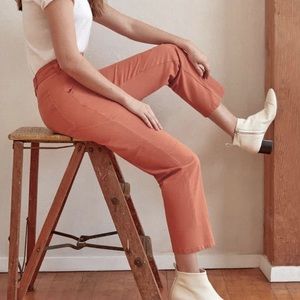 Everlane Carpenter Pants
